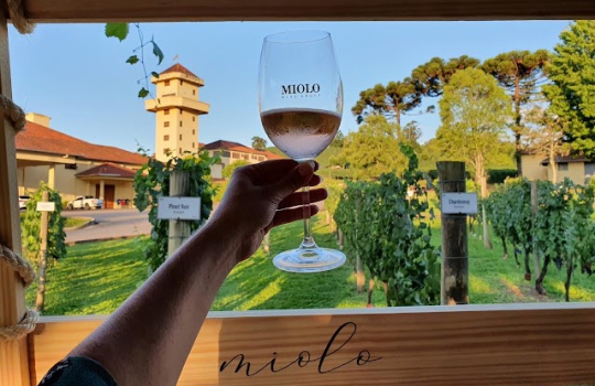 Vale dos Vinhedos Vinícola Miolo