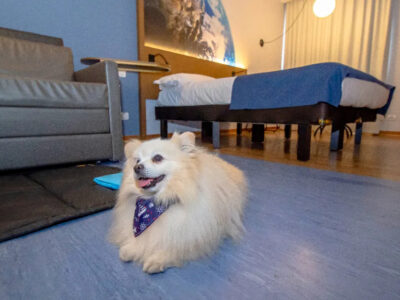 Pet Friendly 2