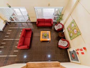 IBIS IMAGEM 3